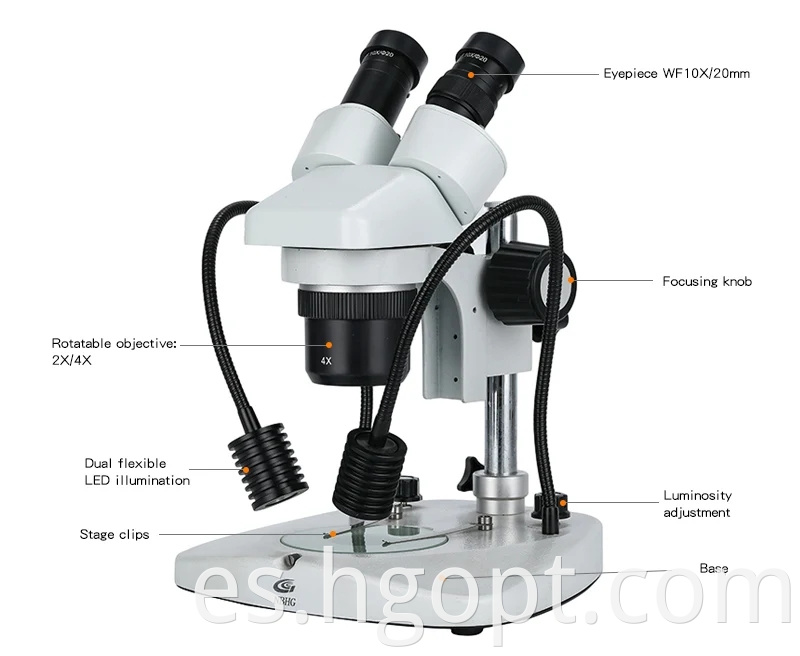 20x Trinicular Stereo Microscope Surgical Microscope